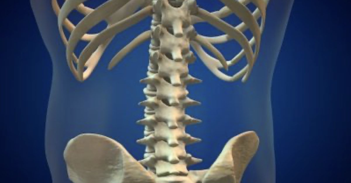 What Is A Disc Herniation and How Does It Happen? Buffalo