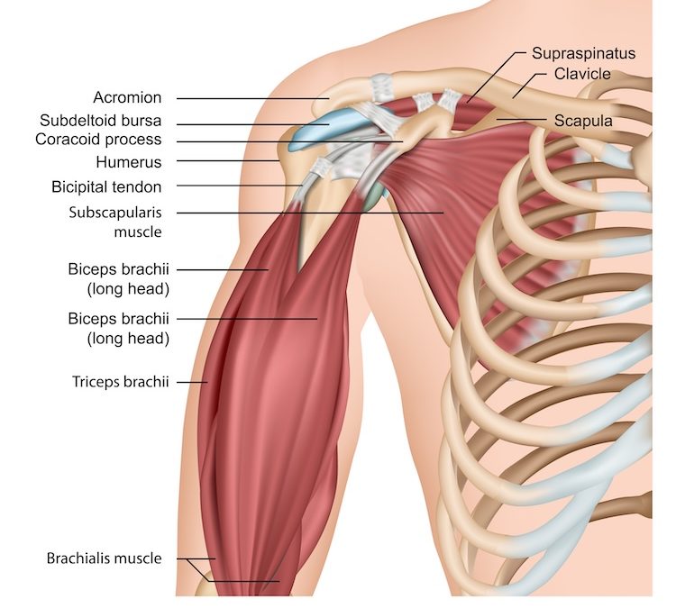 Strengthening Exercises for Rotator Cuff Tears